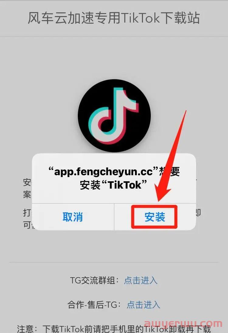 TikTok在线安装 |TikTok国际版不拔卡如何下载( iOS苹果版) 第4张