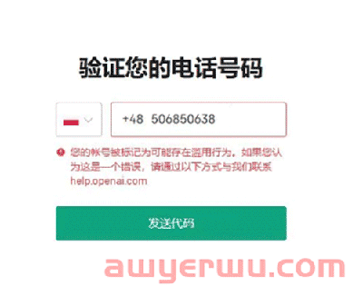 ChatGPT账号注册 最全教程 手把手教会！ 第15张