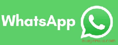 WhatsApp又出新的实用功能了 第1张