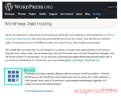 如果你担心shopify被封，可以试试WordPress 自主搭建跨境独立站。 第3张