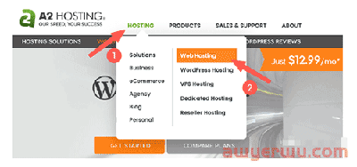 如果你担心shopify被封，可以试试WordPress 自主搭建跨境独立站。 第8张