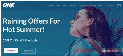 如果你担心shopify被封，可以试试WordPress 自主搭建跨境独立站。 第29张