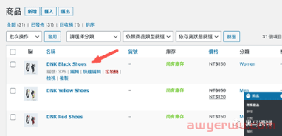 如果你担心shopify被封，可以试试WordPress 自主搭建跨境独立站。 第30张