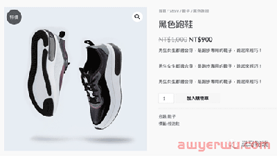 如果你担心shopify被封，可以试试WordPress 自主搭建跨境独立站。 第33张