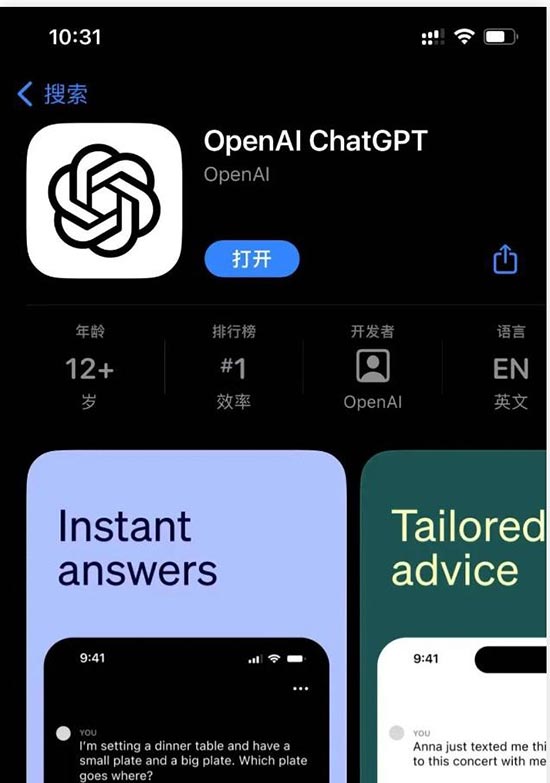 苹果iOS手机安装官方版ChatGPT教程 第4张