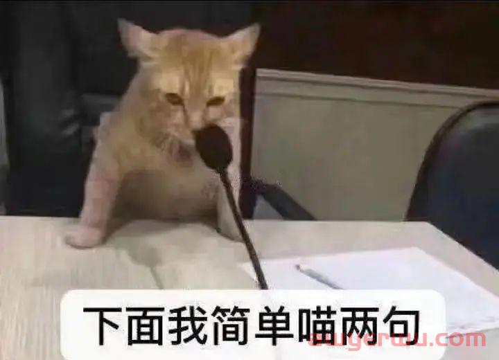 亚马逊变革？又加三个新标签！ 第6张