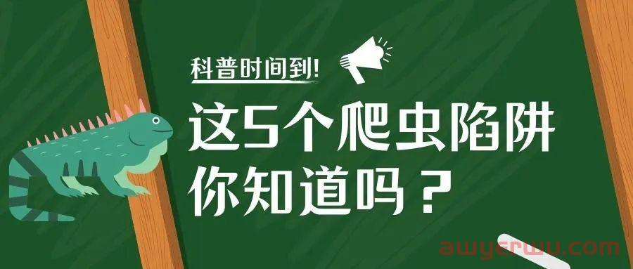 独立站页面还没被收录？9个有效的方法加快收录 第3张