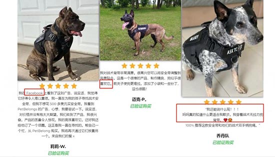 独立站竞品怎么分析？两个案例教会你 第22张