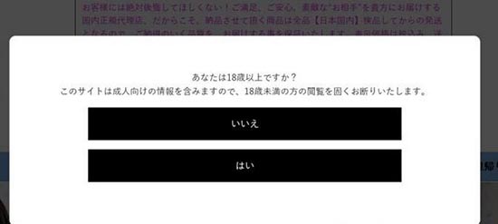 成人用品独立站如何运营？ 第2张