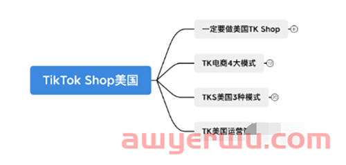 为什么要做美国TikTok电商？TikTok美国电商运营策略你都懂吗 第1张