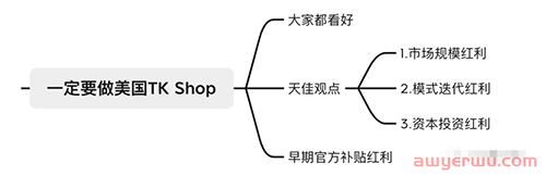 为什么要做美国TikTok电商？TikTok美国电商运营策略你都懂吗 第2张
