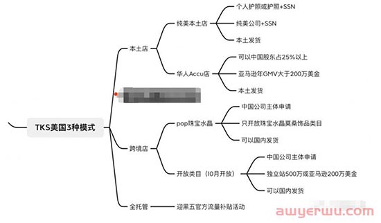 为什么要做美国TikTok电商？TikTok美国电商运营策略你都懂吗 第5张