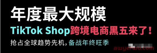 为什么要做美国TikTok电商？TikTok美国电商运营策略你都懂吗 第6张