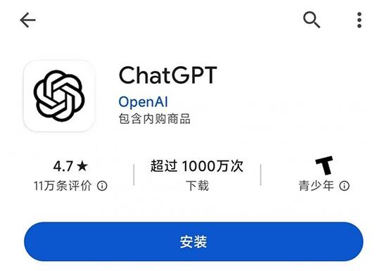 安卓版ChatGPT下载保姆级教程来了！ 第4张