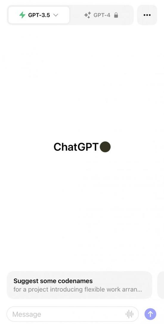 安卓版ChatGPT下载保姆级教程来了！ 第11张