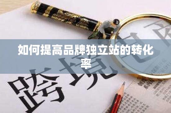 如何提高品牌独立站的转化率