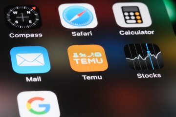 German Temu customers saved 27% on purchases