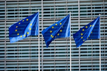 ‘Rules for large marketplaces are too strict’