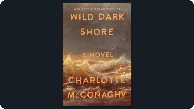 Book cover: Wild Dark Shore by Charlotte McConaghy, featuring stormy sea